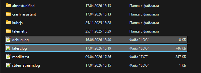 Файлы latest.log и debug.log внутри папки logs